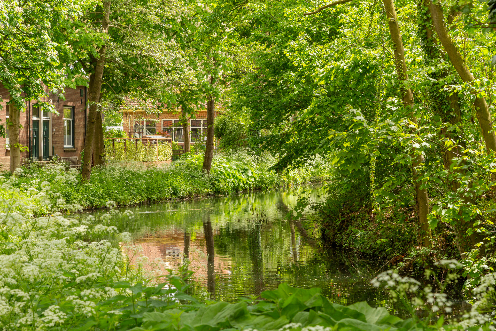 Wageningen in kaart - Gemeente Wageningen